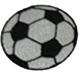 Patch
